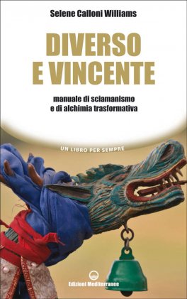 Diverso e Vincente — Libro - 1