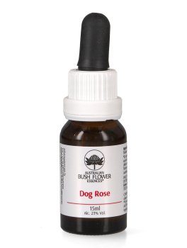 Dog Rose - Essenza Floreale Australiana Singola - 1