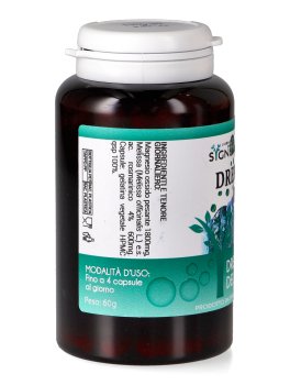 Drena Matrix - 3