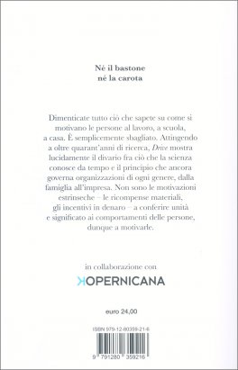 Drive - Cosa Davvero Guida la nostra Motivazione — Libro - 2