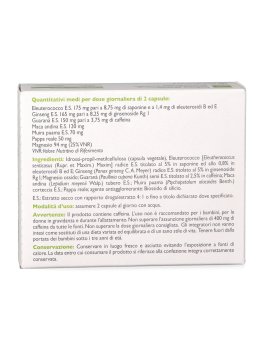 Energy Plus - Capsule - 2
