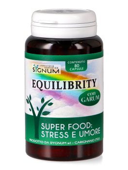 Equilibrity - 1
