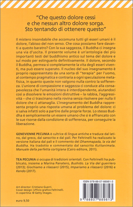 Estinguere il Dolore — Libro - 2