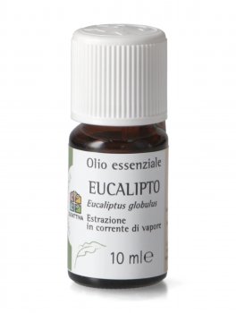 Eucalipto - Olio Essenziale - 1
