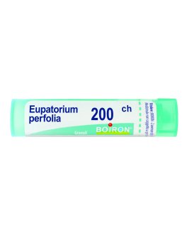 Eupatorium Perfoliatum Boiron 200CH Granuli - 1
