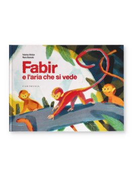 Fabir e l'Aria che si Vede — Libro - 1