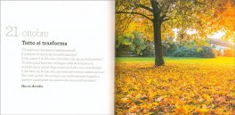 Felicità — Libro - 3