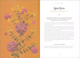 Fiori Magici — Libro - 3