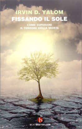 Fissando il Sole — Libro - 1