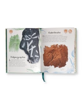 Fossili — Libro - 3