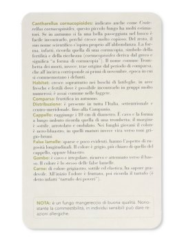 Funghi — Libro - 5