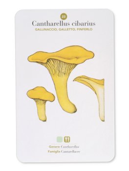 Funghi — Libro - 6