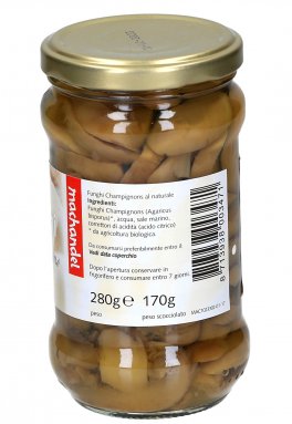 Funghi Champignons - 2