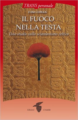 Il Fuoco nella Testa — Libro - 1
