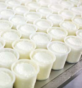 Fuscella per Formaggio Canestrato - 6