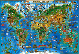 Geoposter Bambini: Animali del Mondo — Poster - 1