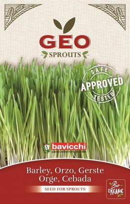 Germogli di Orzo - 1