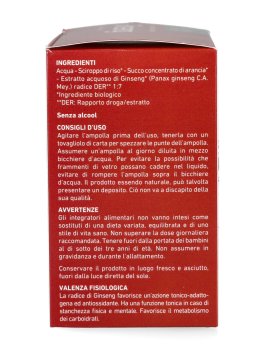 Ginseng - Integratore di Ginseng con Sciroppo di Riso e Succo di Arancia - 2