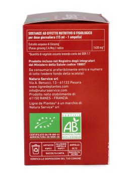 Ginseng - Integratore di Ginseng con Sciroppo di Riso e Succo di Arancia - 3