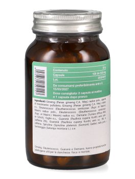 Ginseton - Capsule - 3