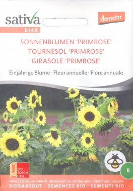 Semi di Girasole Primrose - 1