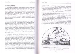 Gli Asteroidi — Libro - 3