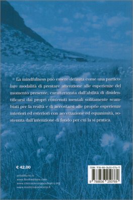 Gli Interventi Basati sulla Mindfulness — Libro - 2