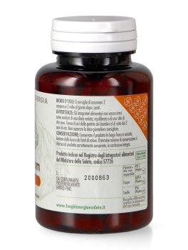Hericium Basic - 2