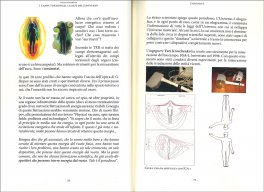 I Campi Torsionali, la Base dell'Universo — Libro - 3