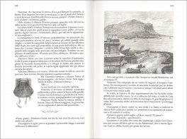I Leoni di Sicilia - Edizione Speciale Illustrata — Libro - 3