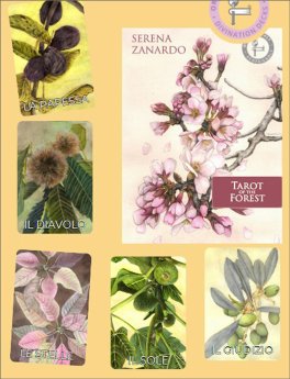 I Tarocchi della Foresta - 1