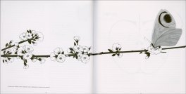 Iela Mari — Libro - 4
