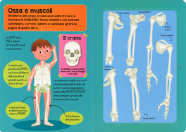 Il Corpo Umano — Libro - 3