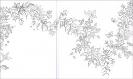 Il Giardino Segreto — Libro - 3