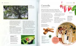 Il Libro degli Alberi — Libro - 3