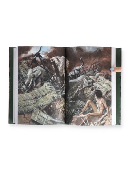 Il Libro della Giungla — Libro - 2