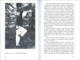 Il Mio Amico Samurai — Libro - 3