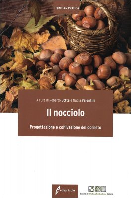 Il Nocciolo — Libro - 1