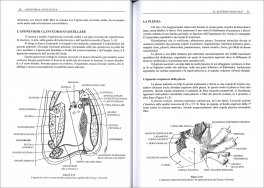 Il Torace — Libro - 3
