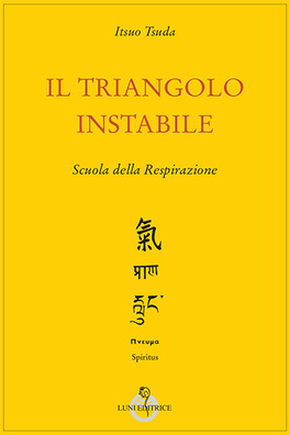 Il Triangolo Instabile  — Libro - 1