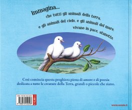 Immagina — Libro - 2
