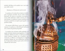 Incensi: Un Viaggio tra le Antiche Tradizioni — Libro - 3