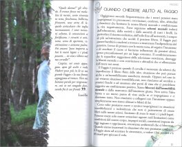 Incontri con lo Spirito degli Alberi — Libro - 4
