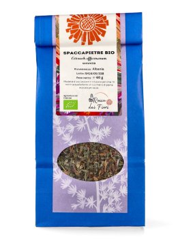 Infuso di Spaccapietre Sommità Bio - 1