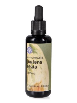 Juglans Regia - Gemmoderivato Floripotenziato - Gemme - 1