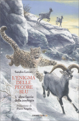 L'enigma delle Pecore Blu — Libro - 1