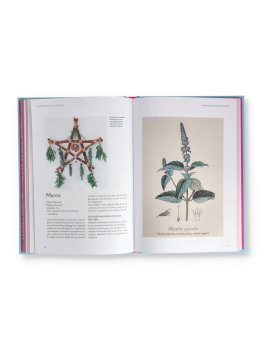 L'Erbario della Wicca — Libro - 4