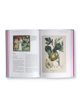 L'Erbario della Wicca — Libro - 2