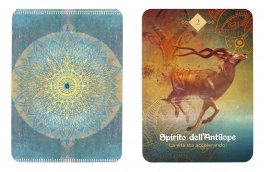 L'Oracolo degli Spiriti Animali - 3