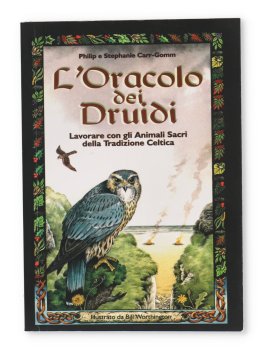 L'Oracolo dei Druidi - 2